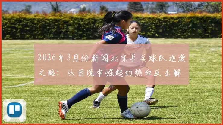 2026年3月份新闻北京乒乓球队逆袭之路：从困境中崛起的热血反击解析